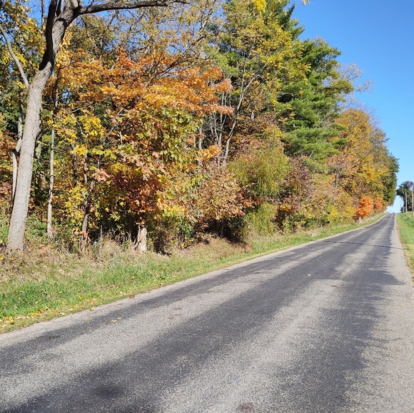 Meet your Posher, Barb - Picture 3 of 8